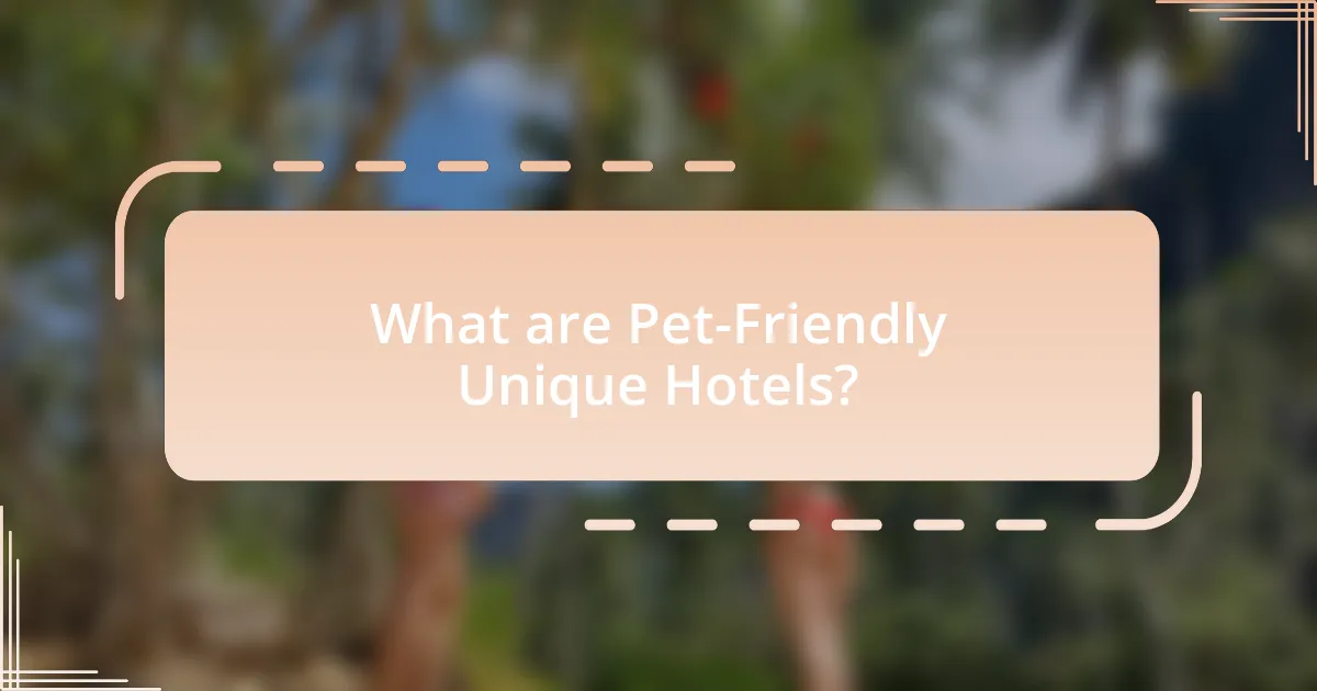 What are Pet-Friendly Unique Hotels?