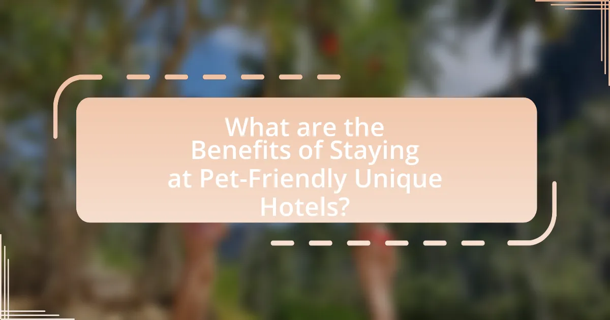 What are the Benefits of Staying at Pet-Friendly Unique Hotels?