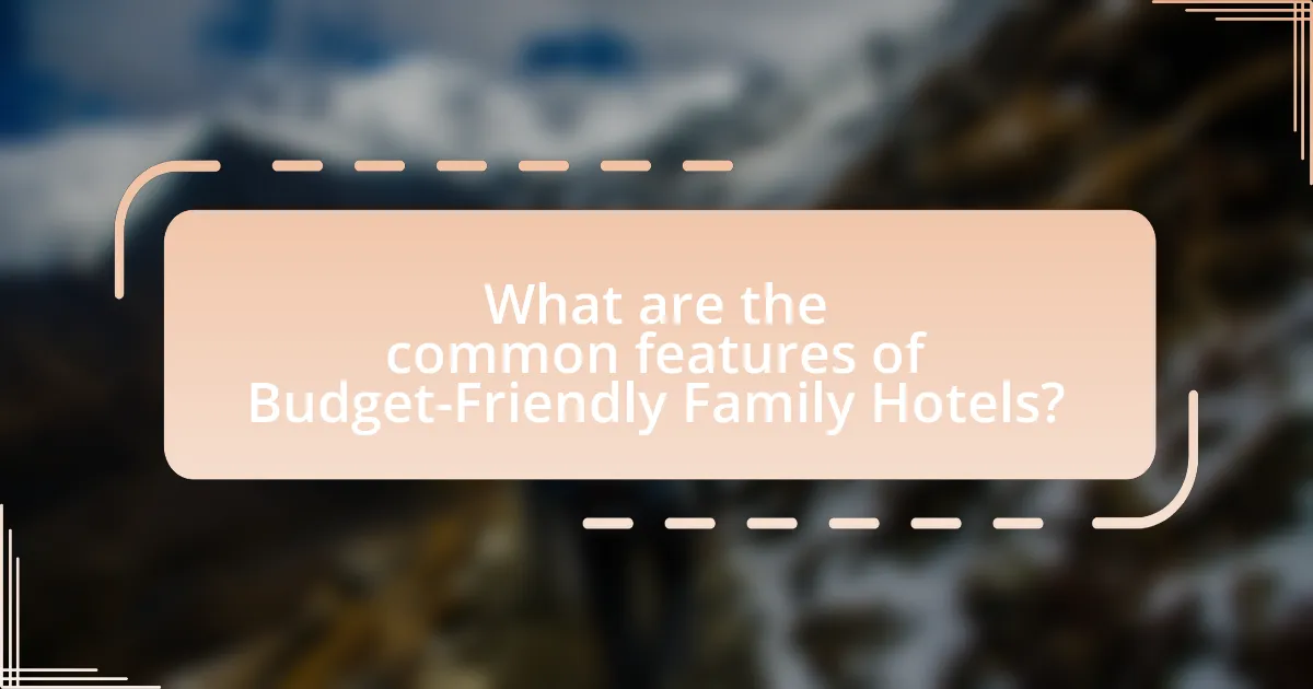 What are the common features of Budget-Friendly Family Hotels?