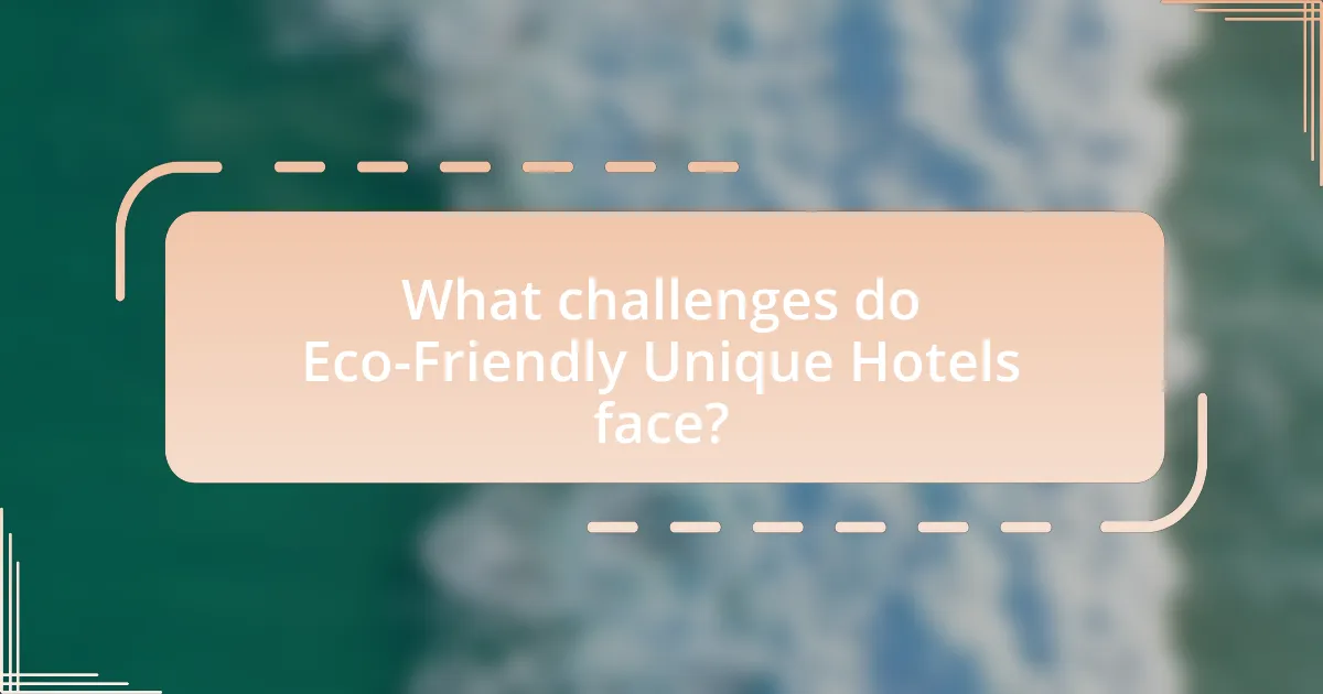 What challenges do Eco-Friendly Unique Hotels face?